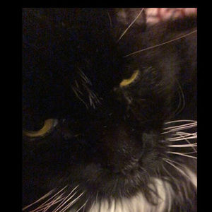 Meet your Posher, Ry